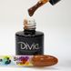 Divia (диско) світловідбиваючий SH090, 8 мл