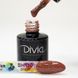 Divia (диско) світловідбиваючий SH110, 8 мл
